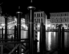 2011 Venice